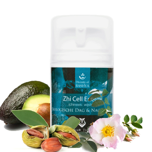 Zhi Cell Energy