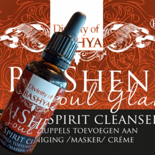 BaiShen Skin en Spirit Cleanser