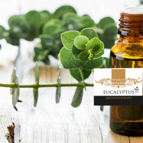 Bio Eucalyptus